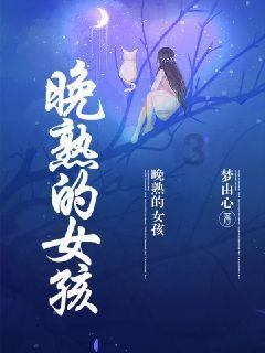 电动车外壳破了游戏画面