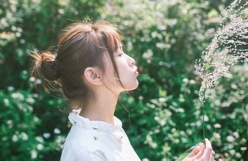 蘑菇女孩救援