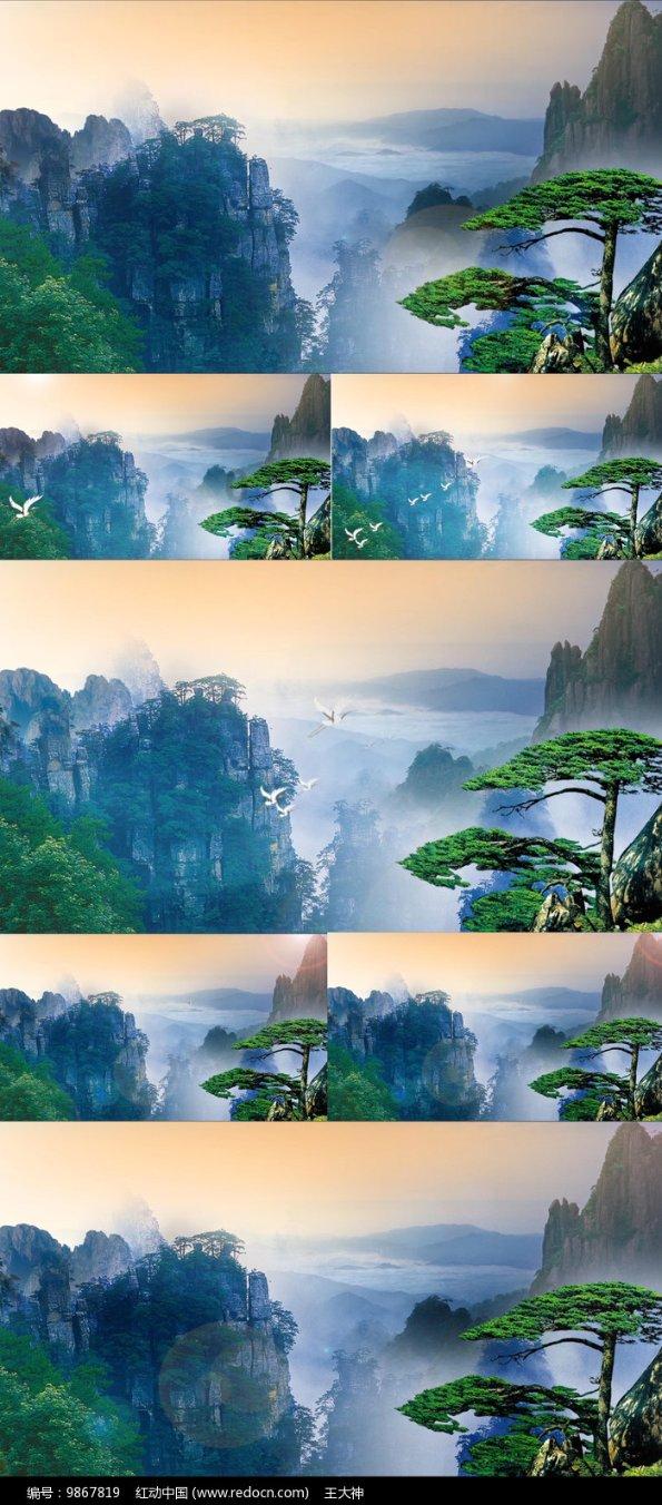 停车坐爱枫林晚全诗- 专业有问必答平台